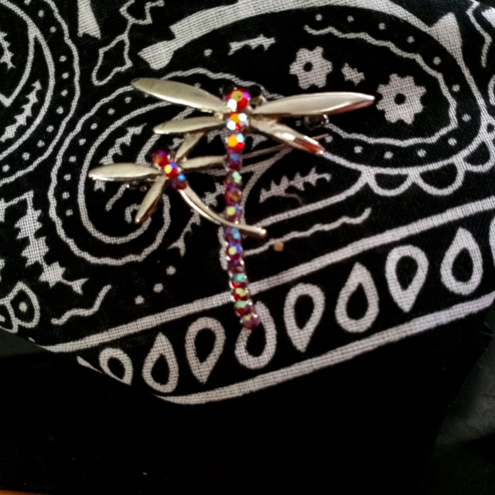 Dragonfly Pin.